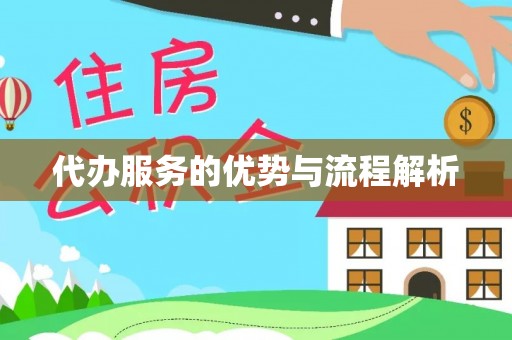 大肚代办服务的优势与流程解析