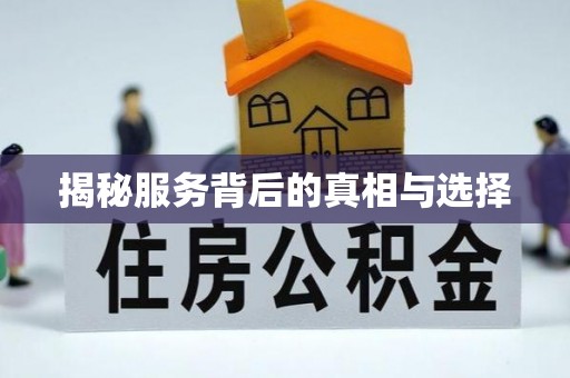 大肚揭秘服务背后的真相与选择