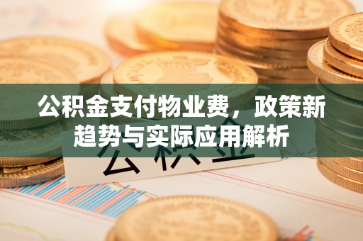 大肚公积金支付物业费，政策新趋势与实际应用解析