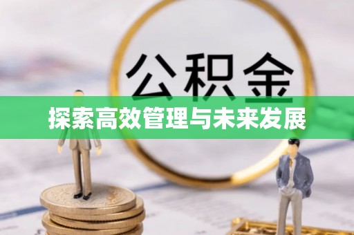 大肚探索高效管理与未来发展