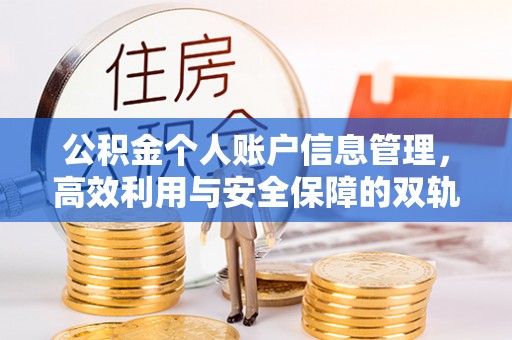 大肚公积金个人账户信息管理，高效利用与安全保障的双轨并行