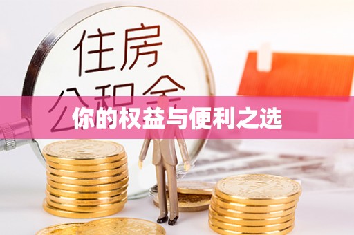 大肚你的权益与便利之选
