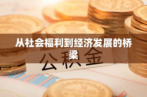 大肚从社会福利到经济发展的桥梁