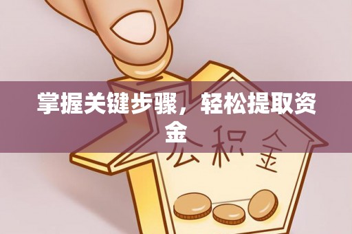 大肚掌握关键步骤，轻松提取资金