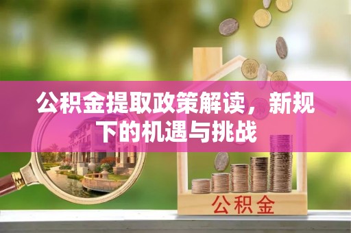 大肚公积金提取政策解读，新规下的机遇与挑战