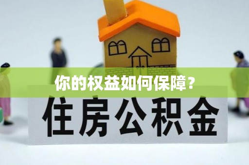 大肚你的权益如何保障？