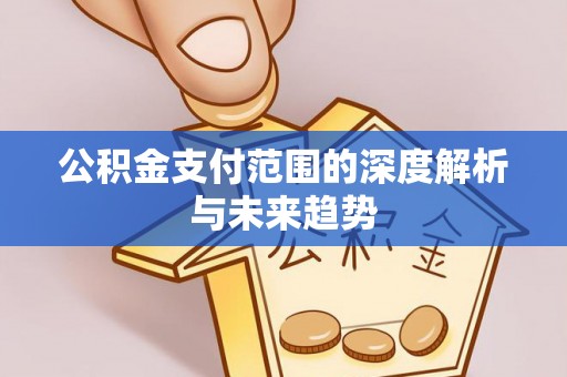 大肚公积金支付范围的深度解析与未来趋势