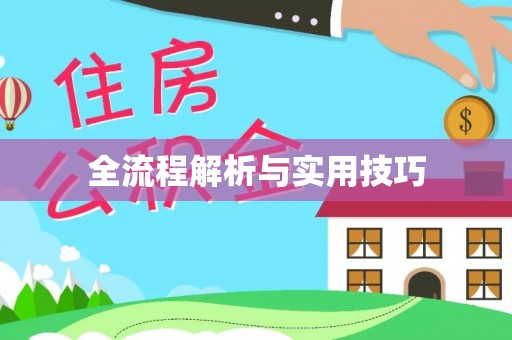 大肚全流程解析与实用技巧