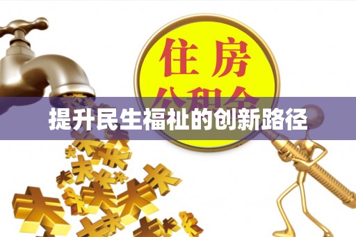 大肚提升民生福祉的创新路径