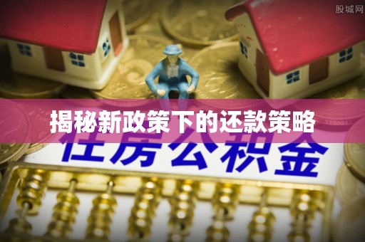 大肚揭秘新政策下的还款策略