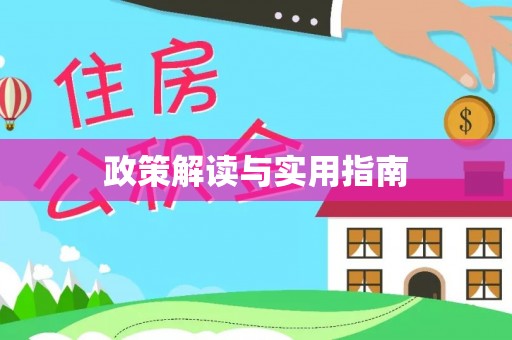 大肚政策解读与实用指南