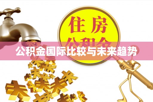 大肚公积金国际比较与未来趋势