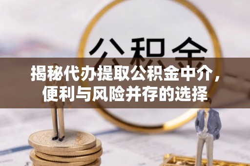 大肚揭秘代办提取公积金中介，便利与风险并存的选择