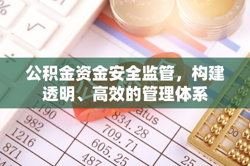 大肚公积金资金安全监管，构建透明、高效的管理体系