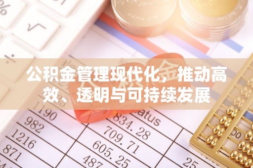 大肚公积金管理现代化，推动高效、透明与可持续发展