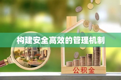 大肚构建安全高效的管理机制