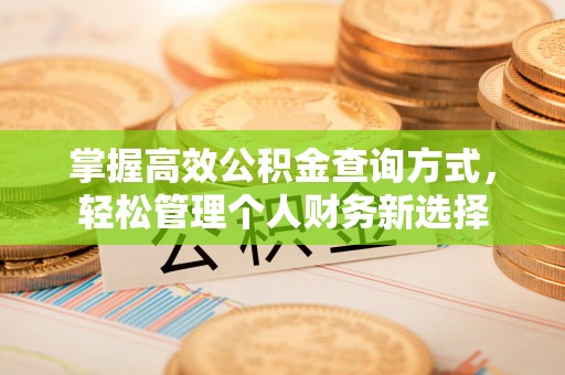 大肚掌握高效公积金查询方式，轻松管理个人财务新选择