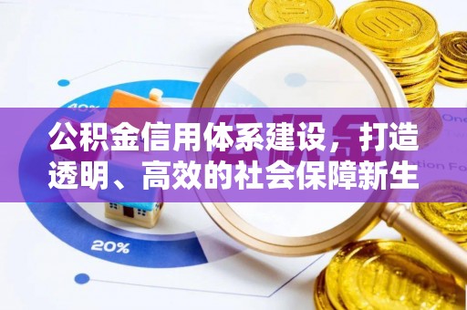 大肚公积金信用体系建设，打造透明、高效的社会保障新生态