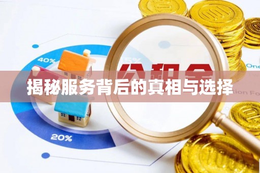 大肚揭秘服务背后的真相与选择