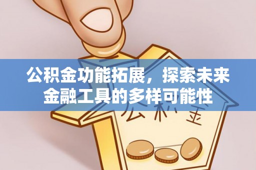 大肚公积金功能拓展，探索未来金融工具的多样可能性