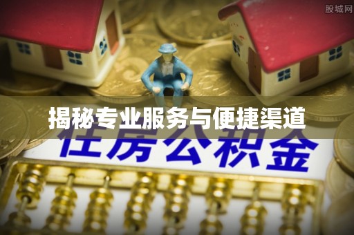 大肚揭秘专业服务与便捷渠道