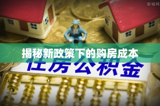 大肚揭秘新政策下的购房成本