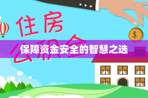 大肚保障资金安全的智慧之选