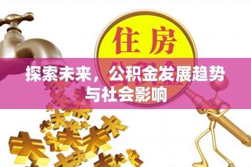 大肚探索未来，公积金发展趋势与社会影响