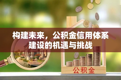 大肚构建未来，公积金信用体系建设的机遇与挑战