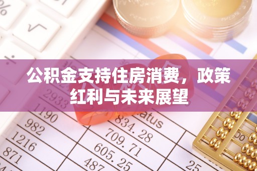 大肚公积金支持住房消费，政策红利与未来展望
