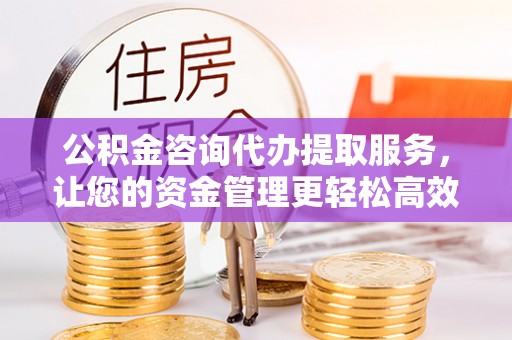 大肚公积金咨询代办提取服务，让您的资金管理更轻松高效