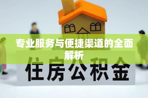 大肚专业服务与便捷渠道的全面解析