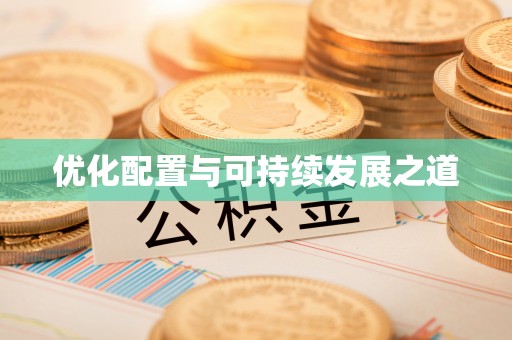 大肚优化配置与可持续发展之道