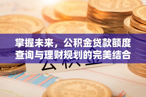 大肚掌握未来，公积金贷款额度查询与理财规划的完美结合
