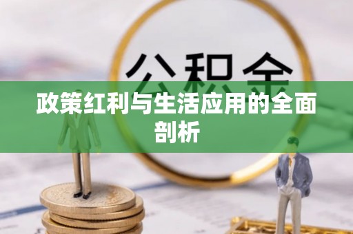 大肚政策红利与生活应用的全面剖析