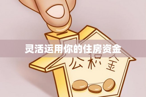 大肚灵活运用你的住房资金