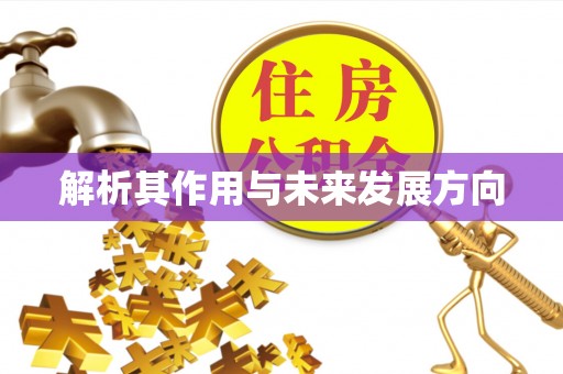 大肚解析其作用与未来发展方向