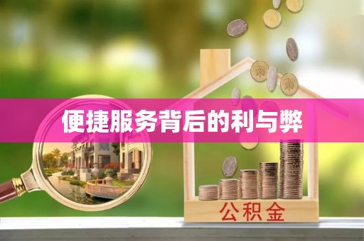 大肚便捷服务背后的利与弊