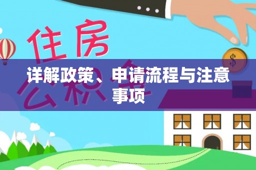 大肚详解政策、申请流程与注意事项