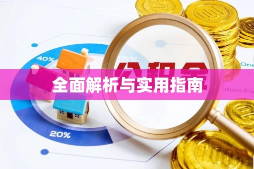 大肚全面解析与实用指南